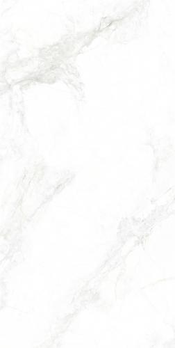 GMA156006-寒江雪-2-